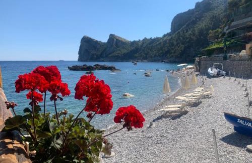 Nerano Apartment | L'Angolo di Felicia
