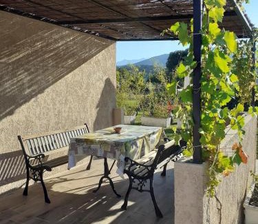 Ventiseri House | L Appicciu