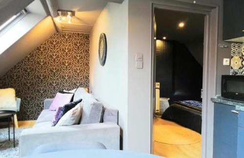 Niederbronn-les-Bains Apartment | L'Escale Glamour et Chic - Climatisation, Netflix, WIFI, Petit déjeuner français