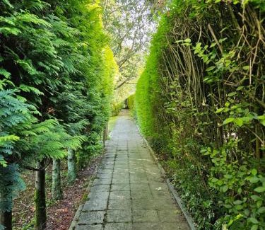 Tournai Other | L Escale Nature