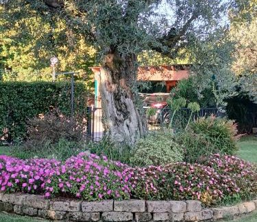 Quartiere Fiorenzuola Bed & Breakfast | L'introvabile