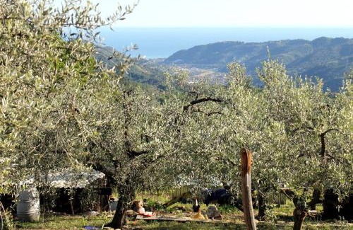 Dolceacqua House | L'Oasi del Rossese