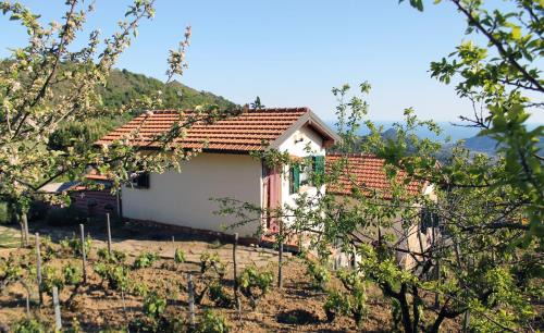 Dolceacqua House | L'Oasi del Rossese