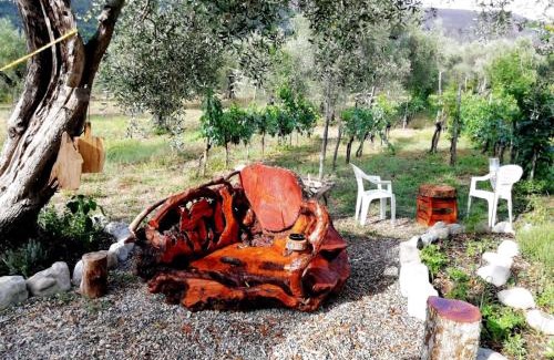Auletta Bed & Breakfast | L'Oasi