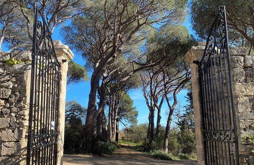 Pezenas House | L'orangerie, Gîte Écolodge Avec Piscine et Jacuzzi Privatif à Pézenas