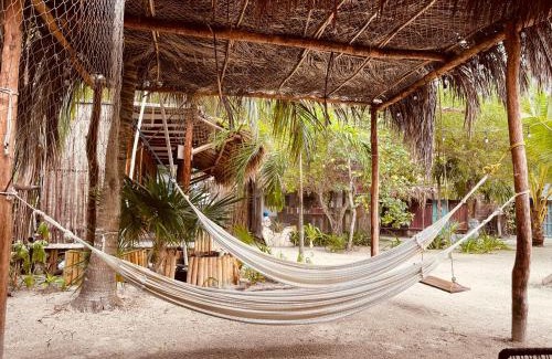 Isla Holbox Other | La Aldea Holbox Cabañas y Camping
