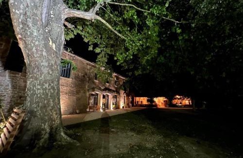 Istres House | La bambouseraie de sulauze