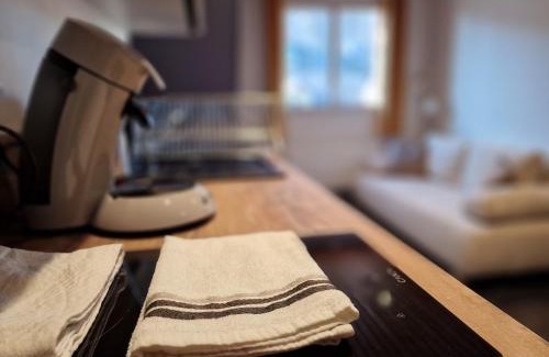 Bagneres-de-Bigorre Apartment | La Barroude