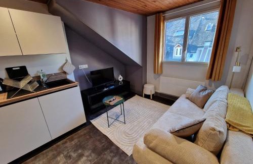 Bagneres-de-Bigorre Apartment | La Barroude