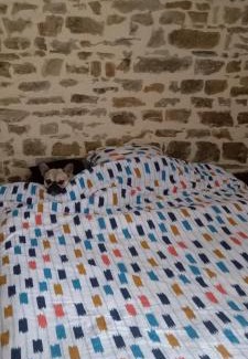 Couterne Bed & Breakfast | La belle étoile