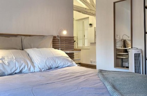 Albi Apartment | La Belle Jane - Hyper Centre - Fibre