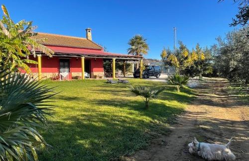 Hornachuelos House | La Buganvilla, descanso entre olivares