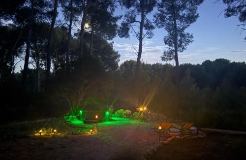 Istres Other | La Bulle des Pins