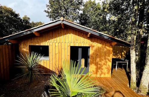 Lege-Cap-Ferret Apartment | La Cabane 56 - calme - cosy - agréable - sans vis-à-vis
