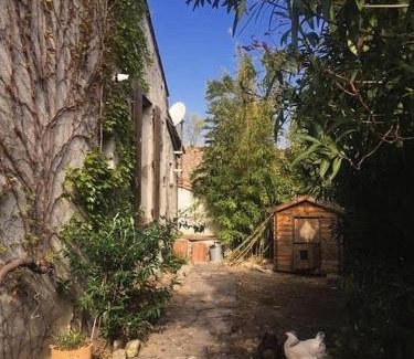 Razimbaud Apartment | La campagne dans la ville