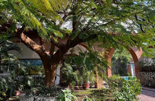 Yautepec House | La casa club