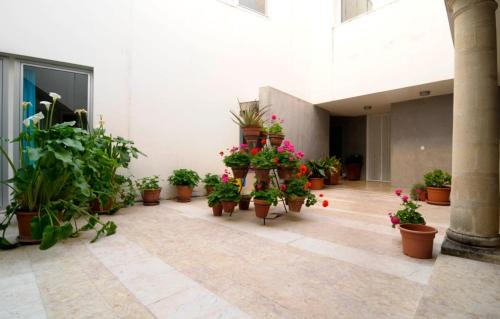 El Puerto de Santa Maria Apartment | La Casa del Limonero