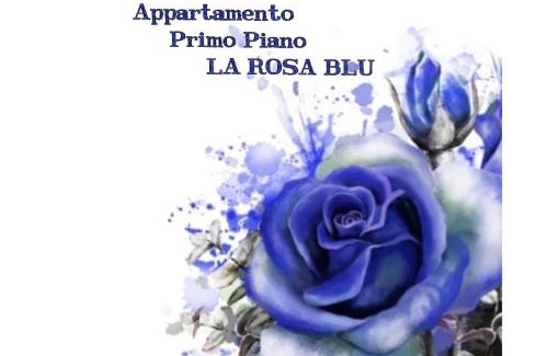 Torre del Lago Puccini Apartment | La casa dei gabbiani
