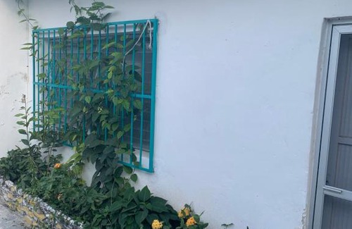 Progreso Municipality House | La casa de los abuelitos