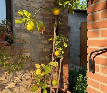 Cervesina House | La casa di AnNa