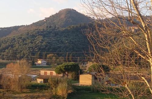 Massarosa House | La casa di Zeno