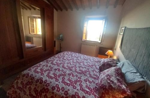 Massarosa House | La casa di Zeno