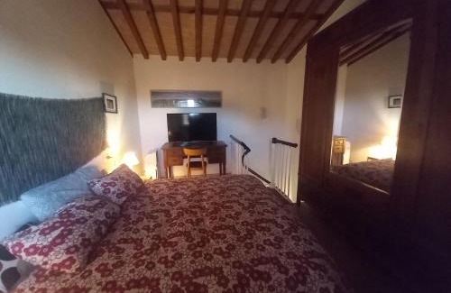 Massarosa House | La casa di Zeno