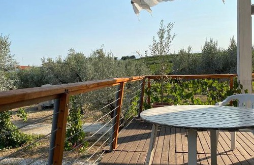 Pollutri House | La Casa tra gli Ulivi - Cottage in legno