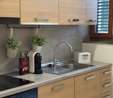 Livorno House | La Casina