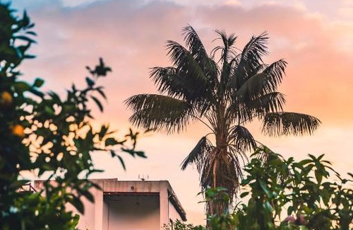 Telde House | La Casita de Las Naranjas