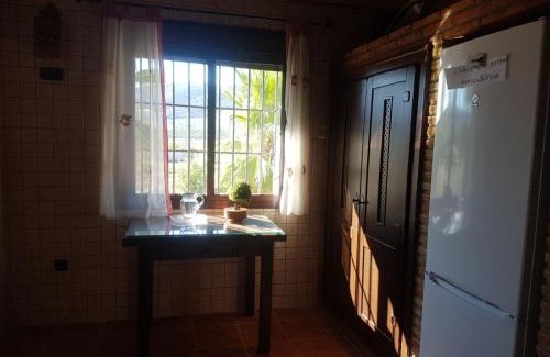 Arriate House | La chumbera