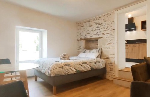 Saint-Serge Apartment | La Douce Angevine - La Perruche - Proche centre