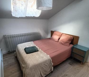 Zola - Pressense House | 'La forêt enchantée'