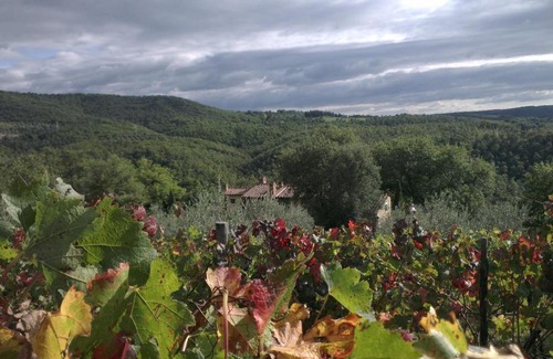 Po' Bandino House | La Giuiaia - Agriturismo Azienda Agricola