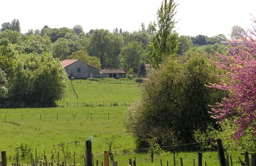 Verac Bed & Breakfast | La Grange d'Oustaud