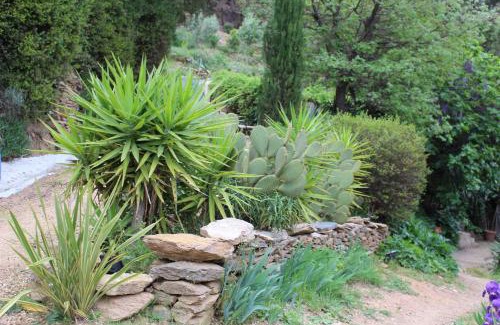 La Garde-Freinet House | La Maison d'Allouma