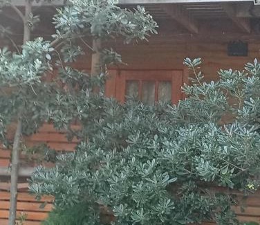 Papudo Apartment | La Maison des Fous