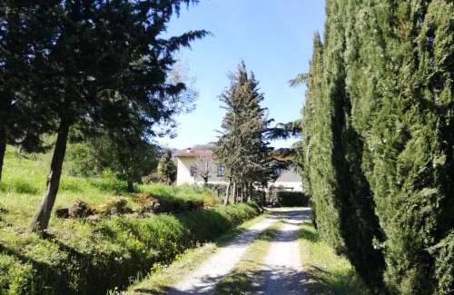 Saturnana House | La Maroneta