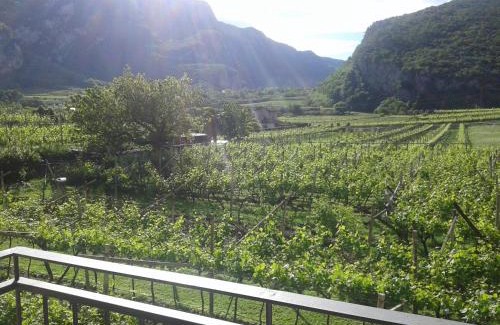 Nago-Torbole Apartment | La Masera Holiday - Vigneto