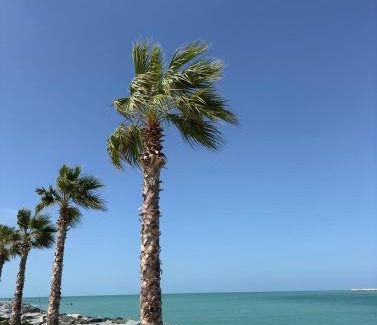 Dubai Apartment | La Mer 1BR Ocean View 4 Pax