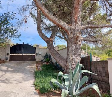 La Barben House | La Micocoule
