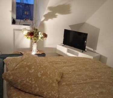 Mulhouse Apartment | La Mulhousienne F3 Centre ville