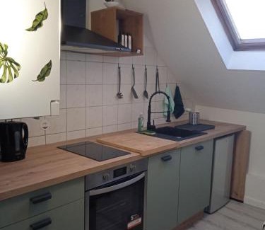 Mulhouse Apartment | La Mulhousienne F3 Centre ville