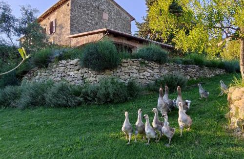 Narni House | La Nocciolaia
