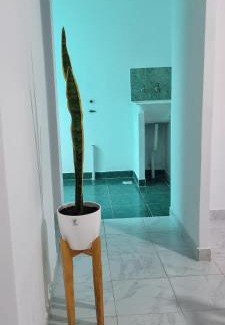 Concepcion Apartment | La Perla