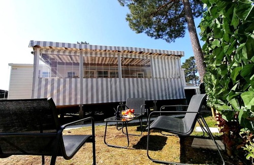 Ronce-les-Bains Other | la pignade