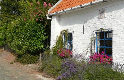Ronse House | La Quitapenas