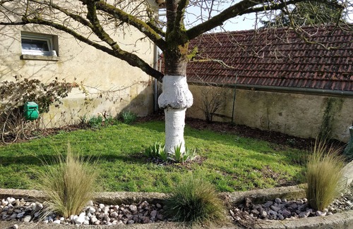 Morangis Apartment | La Ruche 51