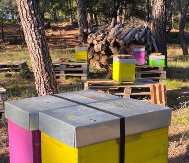 Mondragon House | La Ruche aux Vins mille Senteurs - Terres du Sud