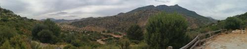 Ardales House | La solana de turon. El pino